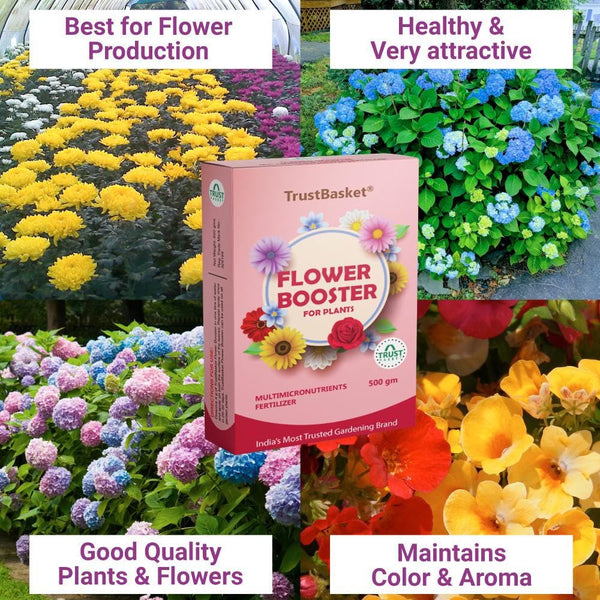 Flower Booster Provides All Essential Multi Micro nutrients for All