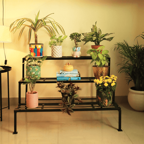 Pots & Planter Stands - 3 Step Planter Stand for Multiple Plants and Pots Stand, Indoor Shelf Holder Rack, Gardening Stand, Indoor/Outdoor (Black)