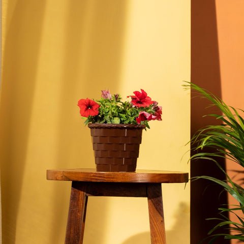 Colorful Designer made planters - TrustBasket Brick pot 5 inch