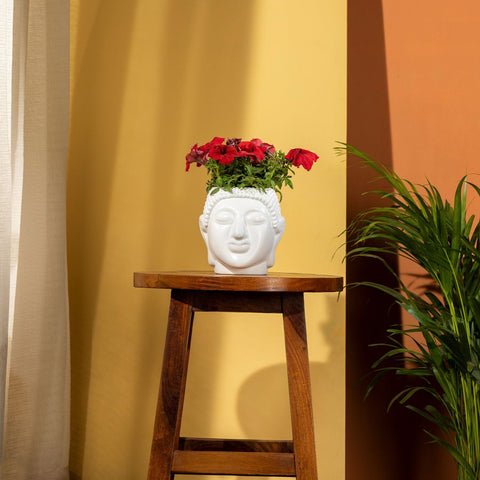 Colorful Designer made planters - TrustBasket Buddha pot