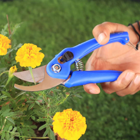 Garden Equipment & Accessories Online - TrustBasket Gardening pruner for plants (Gardening scissor)