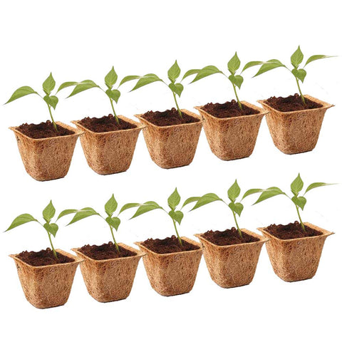 Coir Products - Coir Pots - 6.5 inches (Set of 10)