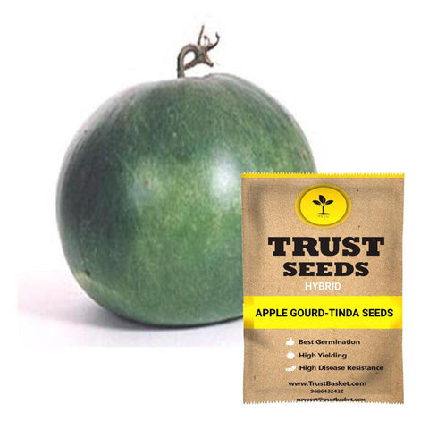 Gardening Products Under 299 - Apple gourd - Tinda Seeds (Hybrid)