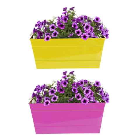 Best Metal Planters in India - Rectangular Railing Planter - Yellow and Magenta (12 Inch) - Set of 2