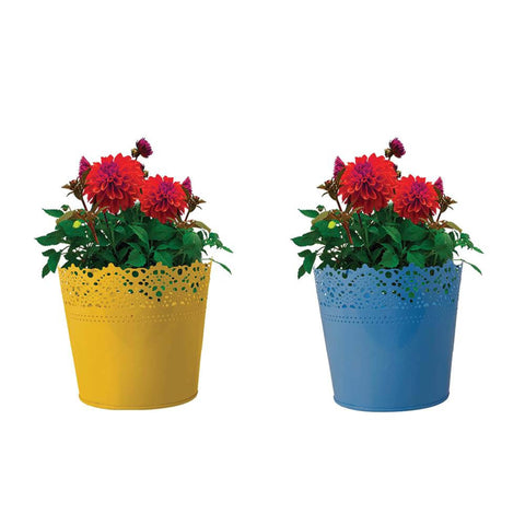 BEST COLOURFUL PLANT POTS - Set Of 2 - Half Lace finish Yellow and Teal