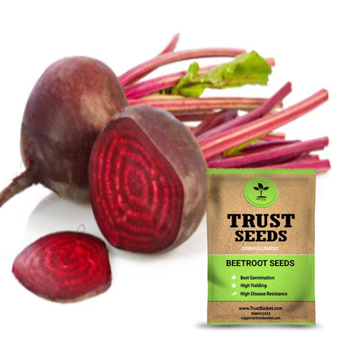 Gardening Products Under 299 - Beetroot seeds (Open Pollinated)