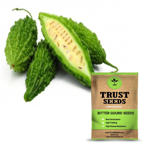 Under Rs.299 - Bitter gourd seeds (Open Pollinated)