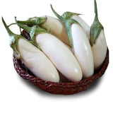 Brinjal white long seeds (Hybrid)