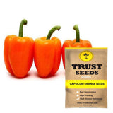 Capsicum orange Seeds(Hybrid)