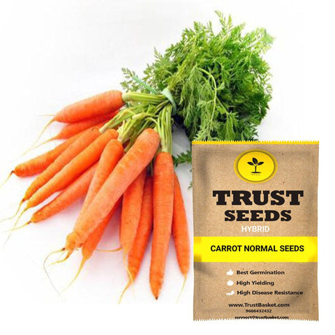 Seeds to start in August Month - Carrot normal seeds (Hybrid)