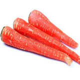 Carrot red seeds (Hybrid)