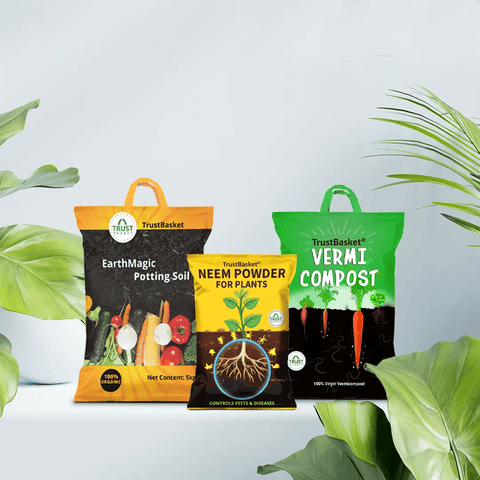 Best Plant Food Products in India - TrustBasket Healthy Greens Grow Kit