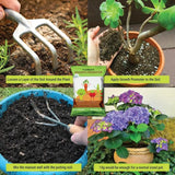 TrustBasket Indoor Plants Care Kit