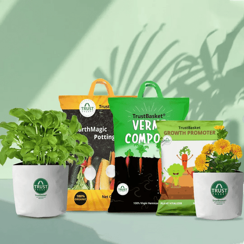 Best Plant Food Products in India - Green Goodness Grow Kit (Limited Edition)