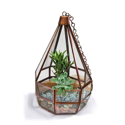 Best Indoor Plant Pots Online - Cone Tower Terrarium
