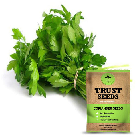 All online products - Coriander seeds (Open Pollinated)