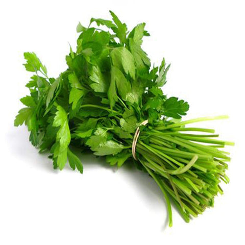 Coriander seeds (Open Pollinated)