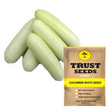 Cucumber white seeds (Hybrid)