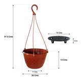 Fern Hanging Basket (Set of 3)