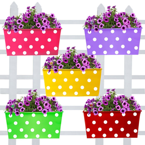 Best Metal Planters in India - Rectangular Dotted Balcony Railing Garden Flower Pots/Planters - Set of 5 (Red, Yellow, Green, Magenta, Purple)