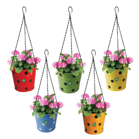 Best Metal Flower Pots in India - Dotted Round Hanging Basket - Set of 5 (Red, Yellow, Green, Orange, Blue)