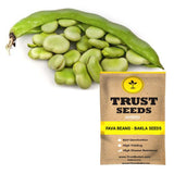 Fava Beans - Bakla Seeds (Hybrid)