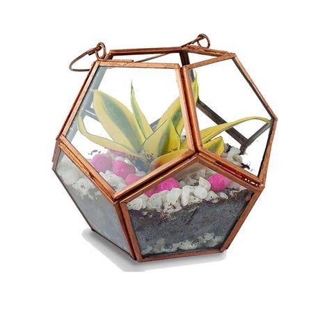 Colorful Designer made planters - Geometric Terrarium