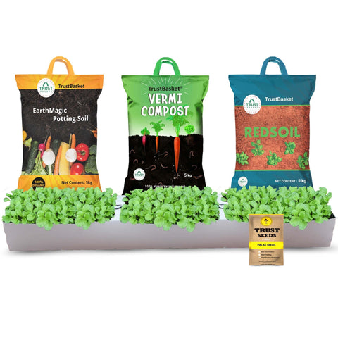 Rooftop Organic Farming Kit - TrustBasket Palak Grow Kit