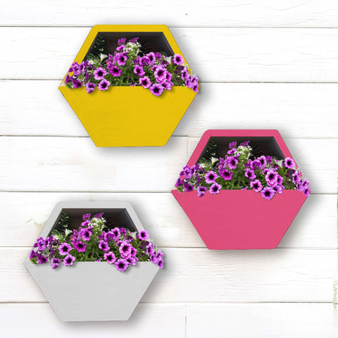 Best Metal Planters in India - Hexagon Wall Planters (Yellow, Ivory and Magenta) - Set of 3