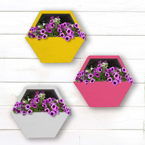Hexagon Wall Planters (Yellow, Ivory and Magenta) - Set of 3