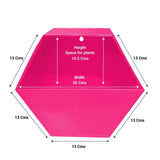 Hexagon Wall Planters (Yellow, Ivory and Magenta) - Set of 3
