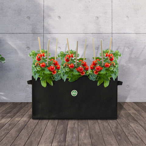 Colorful Designer made planters - Heya Rectangular Felt Grow bag