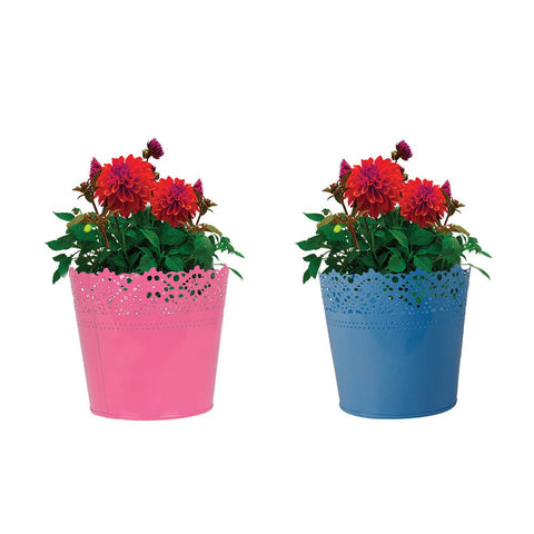 Best Metal Flower Pots in India - Set Of 2 - Half Lace finish Pink and Teal