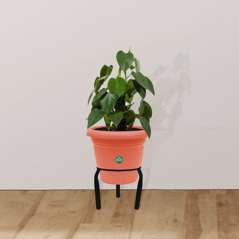 Colorful Designer made planters - Matka Stand (Set of 5)-Pot stand, indoor outdoor pot stand,planter stand for home garden,balcony