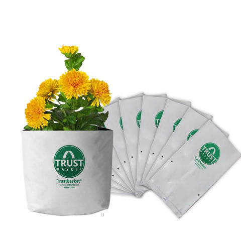 Best Plastic Flower Pot in India - TrustBasket Poly GrowBags UV Stabilized-10 Qty [20cms(L)x20cms(W)x35cms(H)]