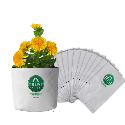 Best Plastic Flower Pot in India - TrustBasket Poly GrowBags UV Stabilized -20 Qty [20cms(L)x20cms(W)x35cms(H)]