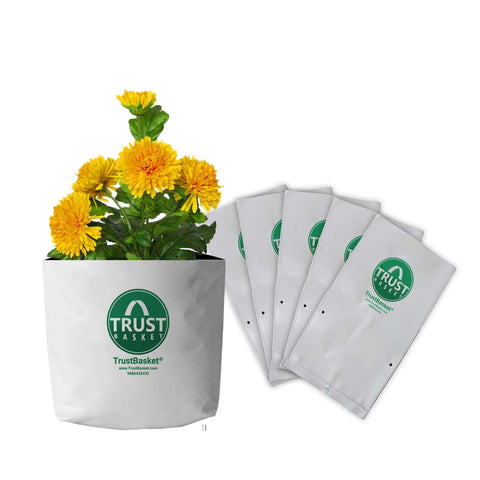 Best Plastic Flower Pot in India - TrustBasket Poly GrowBags UV Stabilized-5 Qty  [20cms(L)x20cms(W)x35cms(H)]