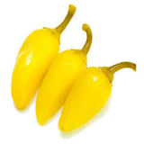 Pepper yellow seeds (Hybrid)