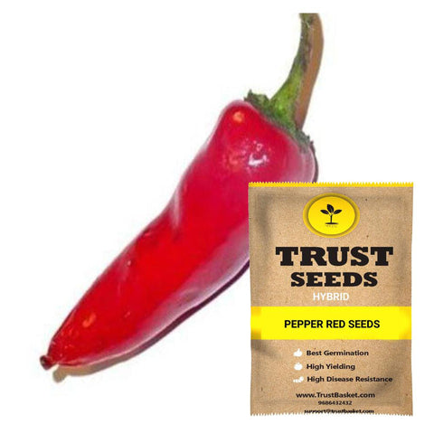 Buy Best Pepper Plant Seeds Online - Pepper red seeds (Hybrid)