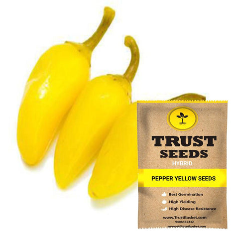 Gardening Products Under 99 - Pepper yellow seeds (Hybrid)