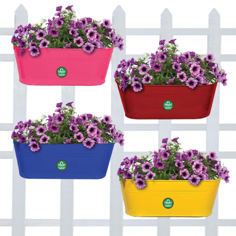 TrustBasket Offers And Promotions - Oval railing planters (Magenta, Blue, Red and Yellow) - Set of 4