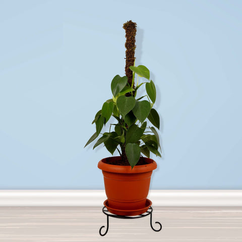 Get upto 30% Off (Mega End Sale) - Premium Pot Stand for Plants
