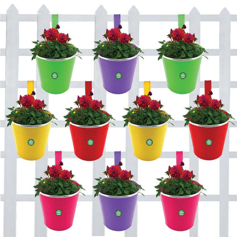 BEST COLOURFUL PLANT POTS - Plain Round Railing Planters - Set of 10 (Green, Yellow, Magenta, Red, Purple)