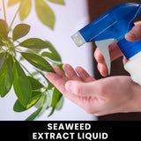Seaweed Spray Kit
