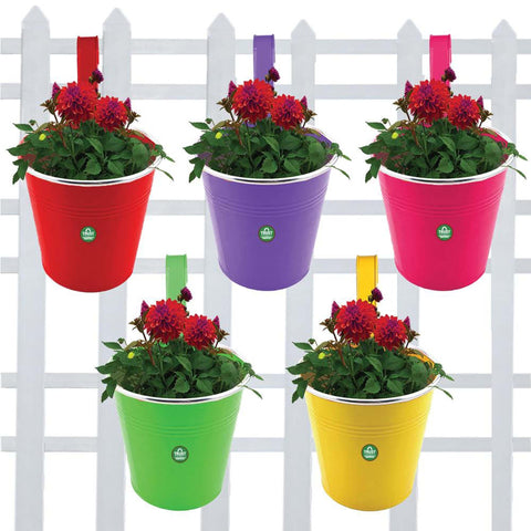 Best Metal Planters in India - Plain Round Railing Planters - Set of 5 (Green, Yellow, Magenta, Red, Purple)