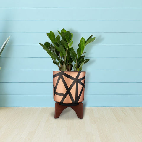 Colorful Designer made planters - Sizzle Stand