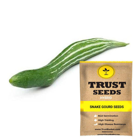 Buy Best Snake Gourd Plant Seeds Online - Snake Gourd seeds ( Hybrid )