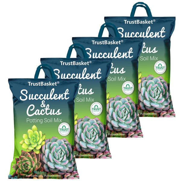dr. earth cactus and succulent potting mix Succulent and Cactus Potting Soil Mix – TrustBasket