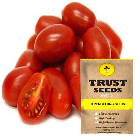 Buy Tomato Seeds Online in India - Tomato long seeds (Hybrid)