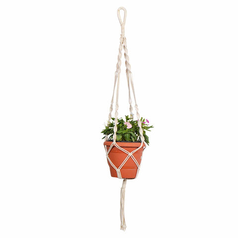Plastic garden Pots - TrustBasket 8 inch Plastic Planter with Contemporary Hanger